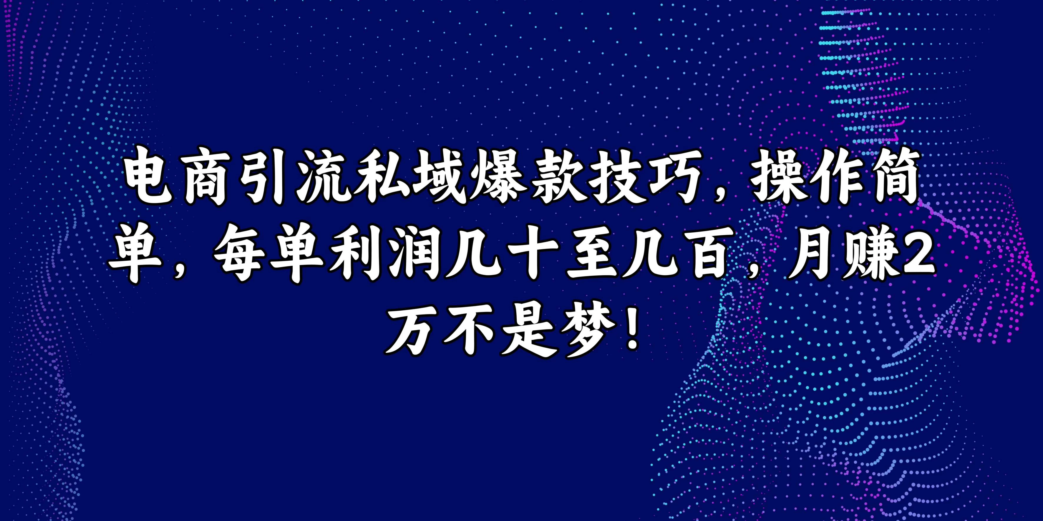 电商引流私域爆款技巧，操作简单，每单利润几十至几百，月赚2万不是梦！-启航资源站