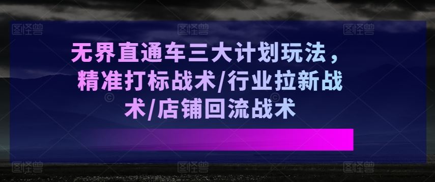 无界直通车三大计划玩法，精准打标战术/行业拉新战术/店铺回流战术-启航资源站