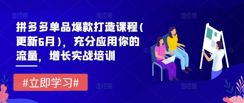 拼多多单品爆款打造课程(更新6月)，充分应用你的流量，增长实战培训-启航资源站