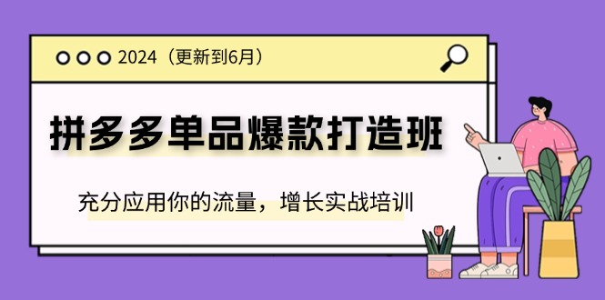 （11556期）2024拼多多-单品爆款打造班(更新6月)，充分应用你的流量，增长实战培训-启航资源站