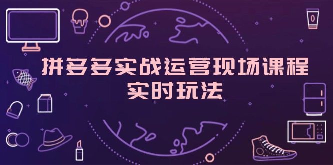 （11759期）拼多多实战运营现场课程，实时玩法，爆款打造，选品、规则解析-启航资源站