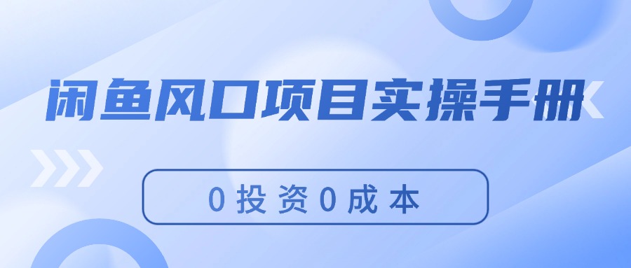 （11923期）闲鱼风口项目实操手册，0投资0成本，让你做到，月入过万，新手可做-启航资源站