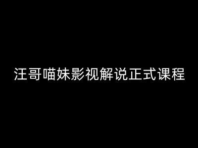 汪哥影视解说正式课程：剪映/PR教学/视解说剪辑5大黄金法则/全流程剪辑7把利器等等-启航资源站