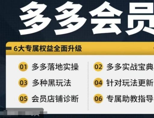 拼多多会员，拼多多实战宝典+实战落地实操，从新手到高阶内容全面覆盖-启航资源站