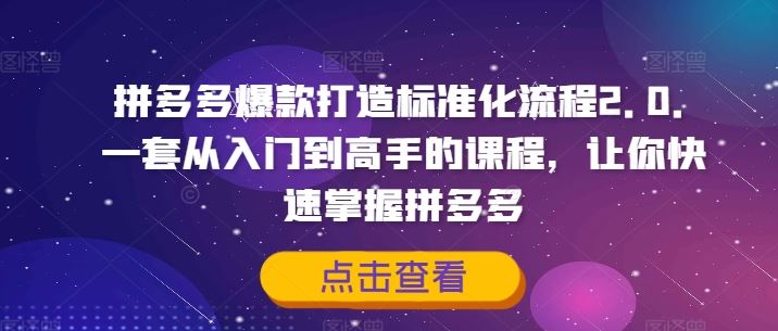 拼多多爆款打造标准化流程2.0，一套从入门到高手的课程，让你快速掌握拼多多-启航资源站