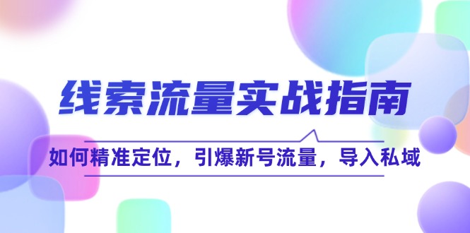 （12382期）线 索 流 量-实战指南：如何精准定位，引爆新号流量，导入私域-启航资源站