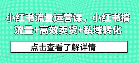 小红书流量运营课，小红书搞流量+高效卖货+私域转化-启航资源站