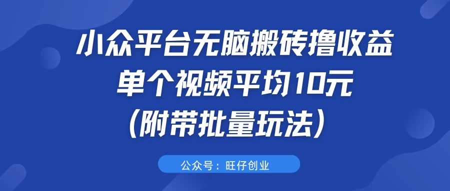 小众平台无脑搬砖撸收益，单个视频平均10元 (附带批量玩法）-启航资源站