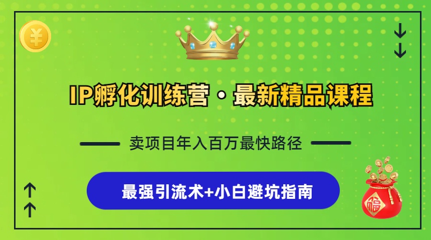 （13055期）IP孵化训练营，知识付费全流程+最强引流术+小白避坑指南-启航资源站