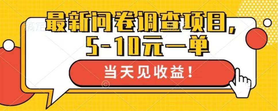 （13167期）最新问卷调查项目，单日零撸100＋-启航资源站