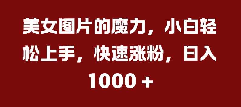 美女图片的魔力，小白轻松上手，快速涨粉，日入几张【揭秘】-启航资源站