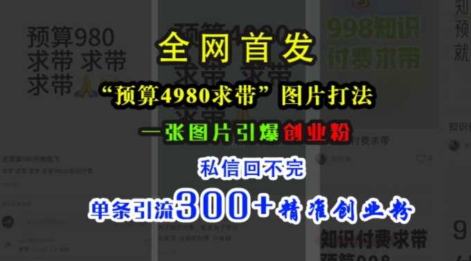 小红书“预算4980带我飞”图片打法，一张图片引爆创业粉，私信回不完，单条引流300+精准创业粉-启航资源站