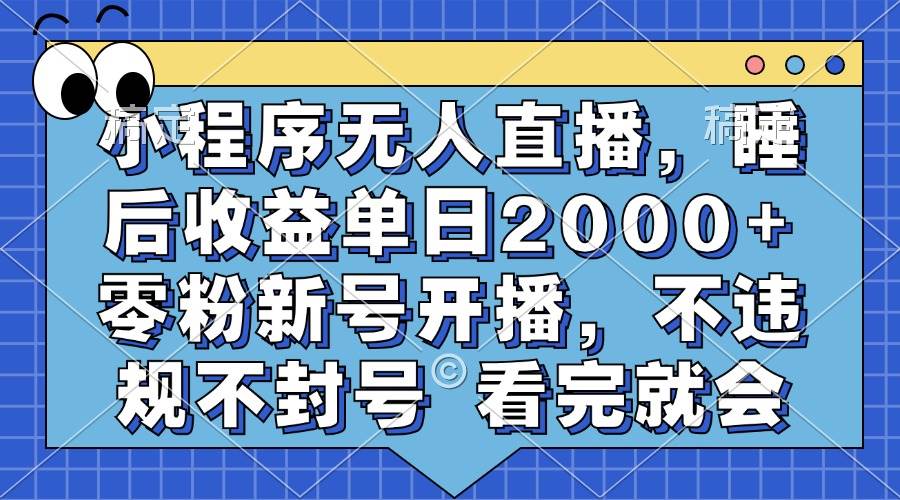 （13251期）小程序无人直播，睡后收益单日2000+ 零粉新号开播，不违规不封号 看完就会-启航资源站