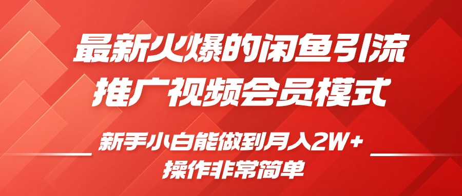 最新火爆的闲鱼引流推广视频会员，新手小白能做到月入2W+-启航资源站