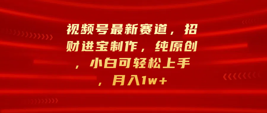 视频号最新赛道，招财进宝制作，纯原创，小白可轻松上手，月入1w+-启航资源站