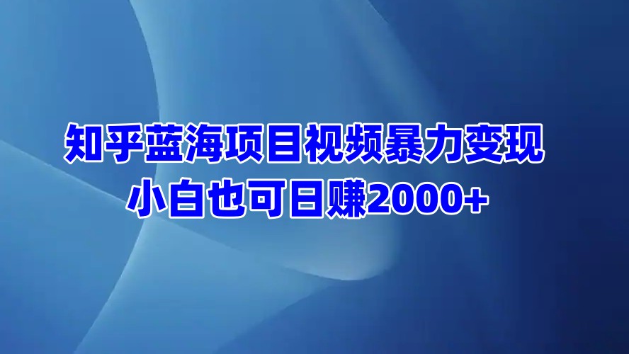 知乎蓝海项目视频暴力变现  小白也可日赚2000+-启航资源站