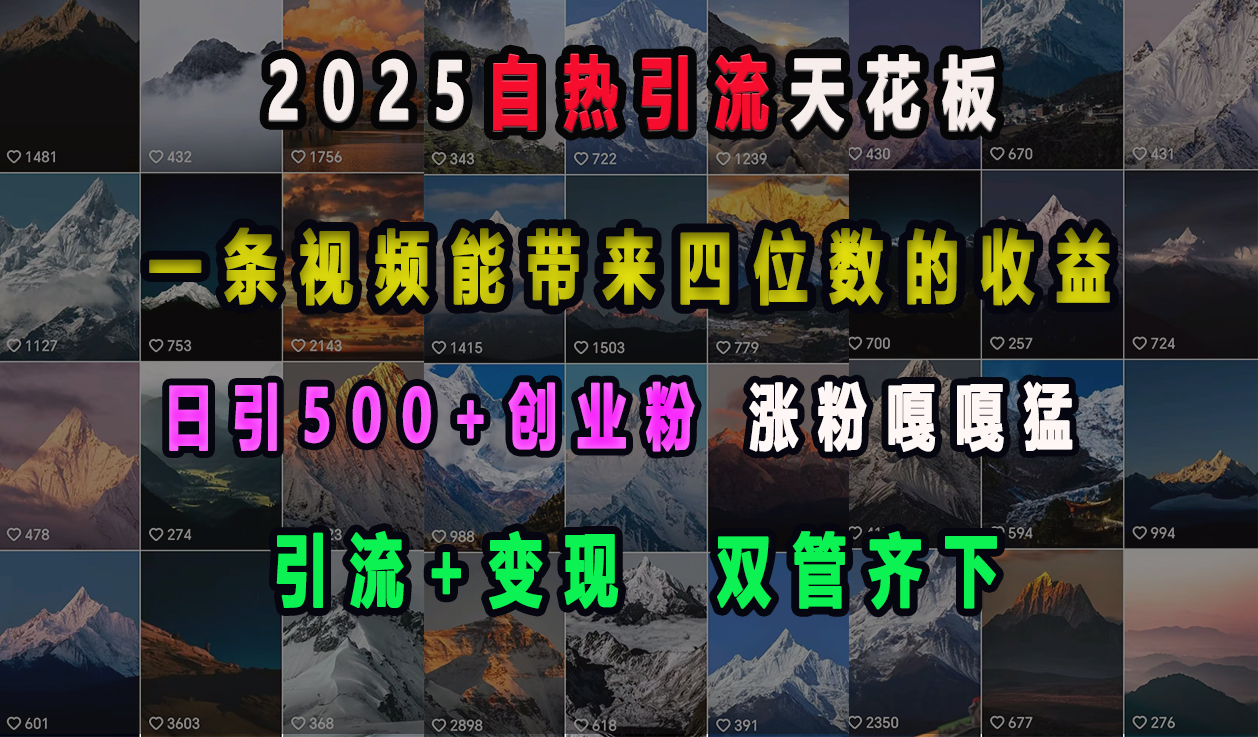 2025自热引流天花板，一条视频能带来四位数的收益，引流+变现双管齐下，日引500+创业粉，涨粉嘎嘎猛-启航资源站