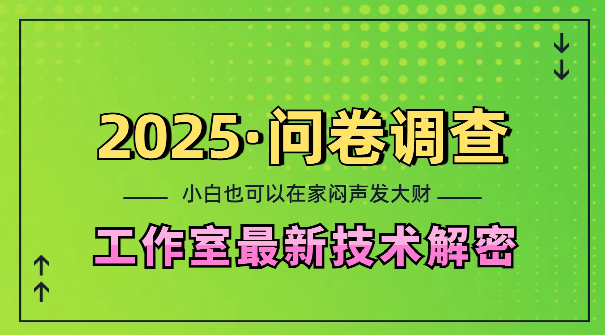 2025《问卷调查》最新工作室技术解密：一个人在家也可以闷声发大财，小白一天200+，可矩阵放大-启航资源站