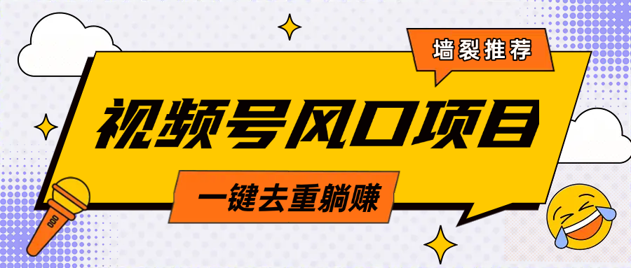 视频号风口蓝海项目，中老年人的流量密码，简单无脑，一键去重，轻松月入过万-启航资源站